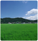 田園風景